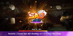 s​aowin