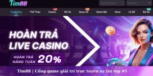 tim88